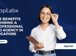 The Benefits of Hiring a Professional SEO Agency in Singapore