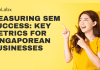 Measuring SEM Success: Key Metrics for Singaporean Businesses Measuring SEM Success: Key Metrics for Singaporean Businesses