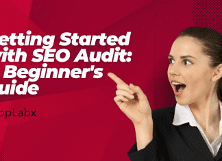 Getting Started with SEO Audit: A Beginner’s Guide
