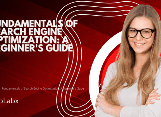Fundamentals of Search Engine Optimization (SEO): A Beginner’s Guide