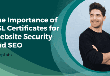 The Importance of SSL Certificates for Website Security and SEO