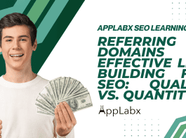 Referring Domains in Effective Link Building for SEO: Quality vs. Quantity