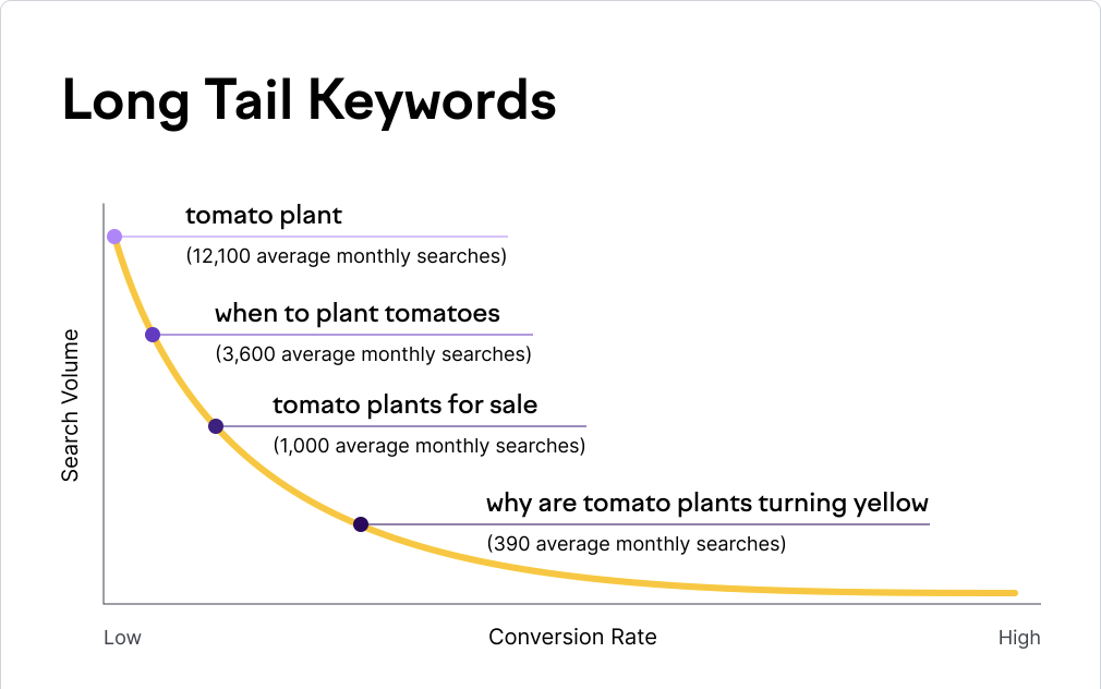 "Why are tomato plants turning yellow" is a long-tail keyword. Source: Semrush