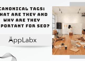 Canonical Tags: What Are They and Why Are They Important for SEO? Canonical Tags: What Are They and Why Are They Important for SEO?