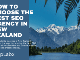 How to Choose the Best SEO Agency in New Zealand