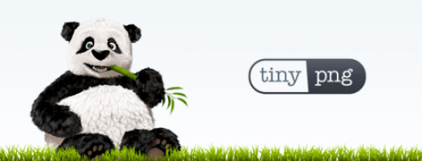 Utilize tools like JPEGoptim or TinyPNG to compress images without compromising quality