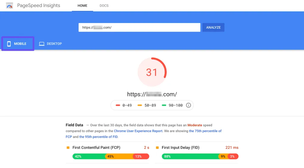 Understanding PageSpeed Insights. Image Source: Kinsta