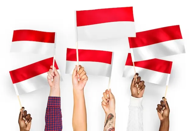 Indonesian Language Dynamics: Bahasa Indonesia