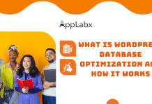 What is WordPress Database Optimization and How It Works What is WordPress Database Optimization and How It Works