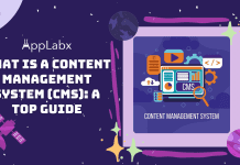 What Is A Content Management System (CMS): A Top Guide What Is A Content Management System (CMS): A Top Guide