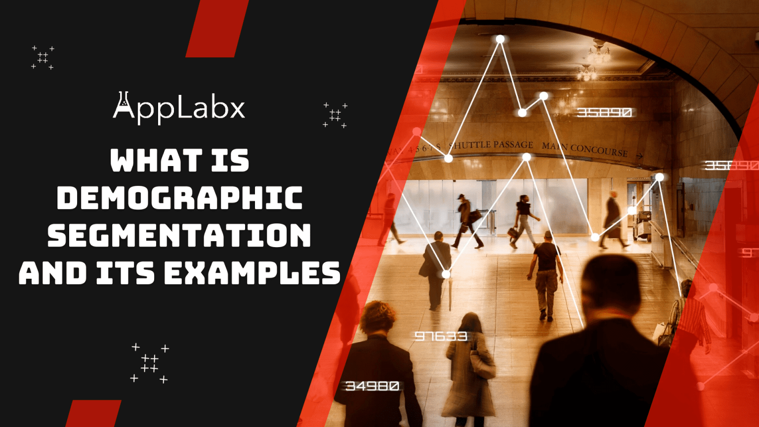 What Is Demographic Segmentation And Its Examples?