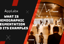 What Is Demographic Segmentation And Its Examples? What Is Demographic Segmentation And Its Examples