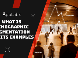 What Is Demographic Segmentation And Its Examples