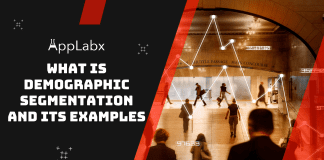 What Is Demographic Segmentation And Its Examples? What Is Demographic Segmentation And Its Examples
