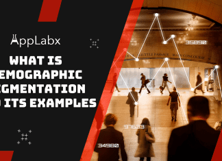 What Is Demographic Segmentation And Its Examples? What Is Demographic Segmentation And Its Examples