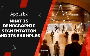 What Is Demographic Segmentation And Its Examples? What Is Demographic Segmentation And Its Examples