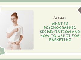 What is Psychographic Segmentation and How to Use It For Marketing