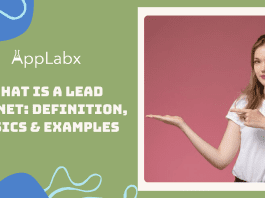 What is a Lead Magnet: Definition, Basics & Examples