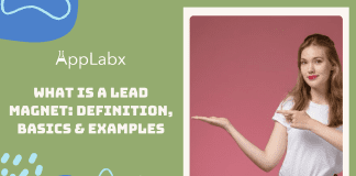 What is a Lead Magnet: Definition, Basics & Examples What is a Lead Magnet: Definition, Basics & Examples