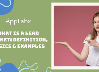 What is a Lead Magnet: Definition, Basics & Examples What is a Lead Magnet: Definition, Basics & Examples