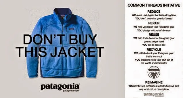 Patagonia's commitment to environmental sustainability. Image Source: Change Oracle
