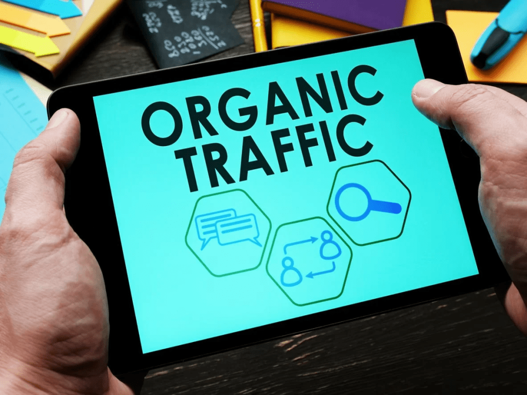 Understanding Organic Traffic. Image Source: Wise Growth Marketing