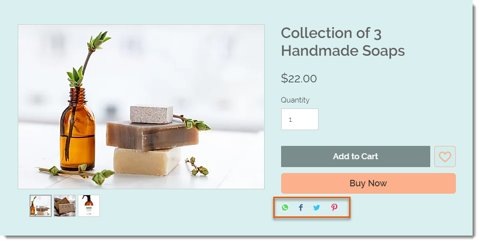An e-commerce site includes social sharing buttons on product pages. Image Source: Wix Support