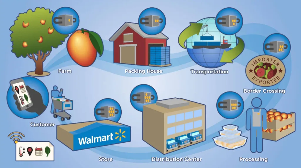 Walmart utilizes blockchain to trace the origin and journey of food products. Image Source: Altoros