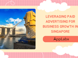 Leveraging Paid Advertising for Business Growth in Singapore