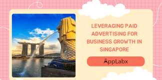 Leveraging Paid Advertising for Business Growth in Singapore Leveraging Paid Advertising for Business Growth in Singapore