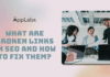 What are Broken Links in SEO and How to Fix Them? What are Broken Links in SEO and How to Fix Them?