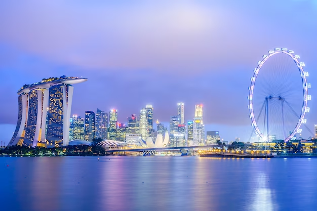 Understanding the Singaporean Market