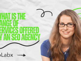 What is the Range of Services Offered by an SEO Agency