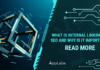 What is Internal Linking in SEO and Why Is It Important
