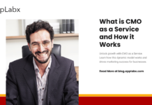 What is CMO as a Service and How it Works