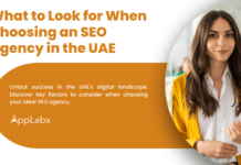 What to Look for When Choosing an SEO Agency in the UAE What to Look for When Choosing an SEO Agency in the UAE