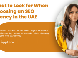 What to Look for When Choosing an SEO Agency in the UAE