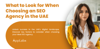 What to Look for When Choosing an SEO Agency in the UAE What to Look for When Choosing an SEO Agency in the UAE