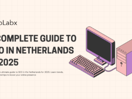 A Complete Guide to SEO in Netherlands in 2025