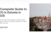 A Complete Guide to SEO in Estonia in 2025 A Complete Guide to SEO in Estonia in 2025