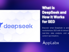 What is DeepSeek and How It Works for SEO