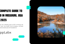 A Complete Guide to SEO in Missouri, USA in 2025 A Complete Guide to SEO in Missouri, USA in 2025