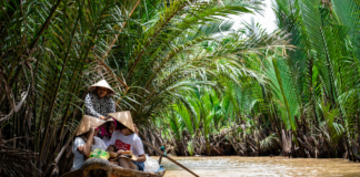 The State of SEO In Vietnam For 2025 The State of SEO In Vietnam For 2025