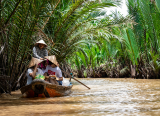 The State of SEO In Vietnam For 2025 The State of SEO In Vietnam For 2025