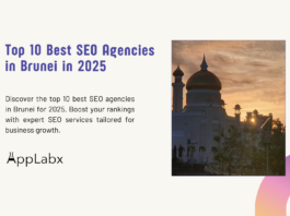 Top 10 Best SEO Agencies in Brunei in 2025