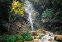 The State of SEO in Laos in 2025 The State of SEO in Laos in 2025