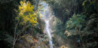 The State of SEO in Laos in 2025 The State of SEO in Laos in 2025