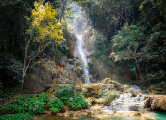 The State of SEO in Laos in 2025 The State of SEO in Laos in 2025