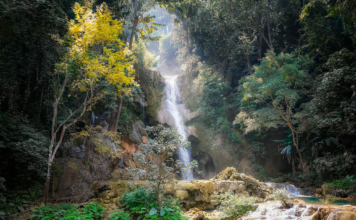 The State of SEO in Laos in 2025 The State of SEO in Laos in 2025