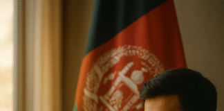 Top 60 SEO in Afghanistan Statistics, Data & Trends in 2025 Top 60 SEO in Afghanistan Statistics, Data & Trends in 2025